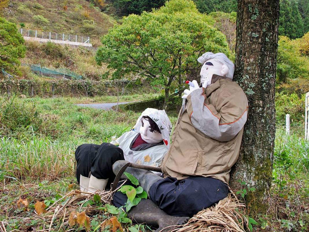 Bu köye gelenler gözlerine inanamıyor: Tüyler ürperten manzara! Hepsi yetişkin insan boyutlarında 17